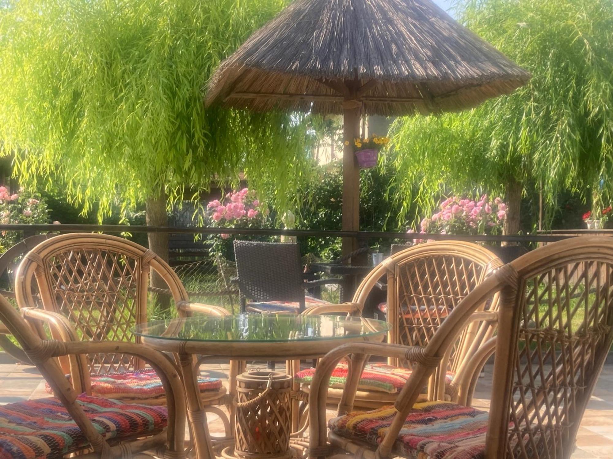 Casa Soarelui Hotel Murighiol Ngoại thất bức ảnh